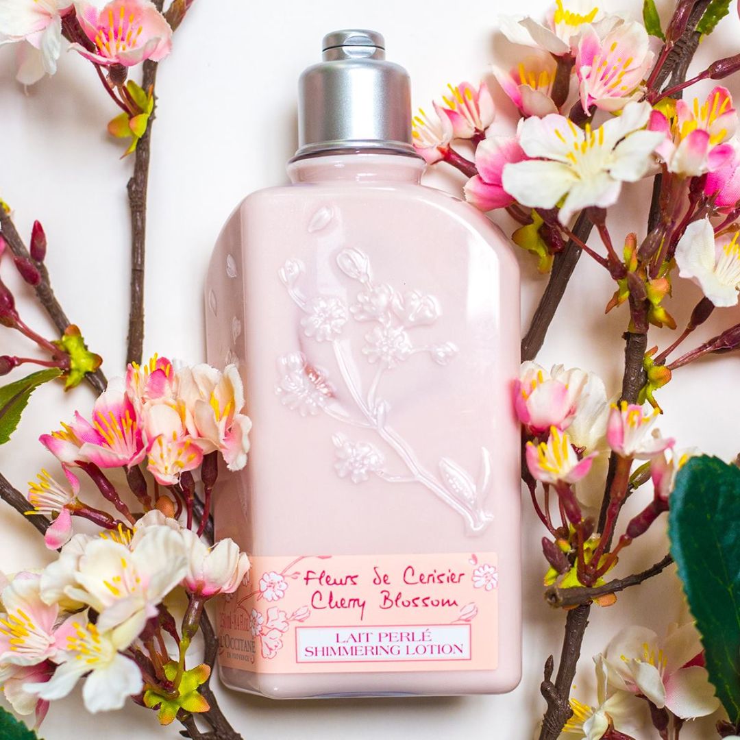 L'Occitane - Cherry Blossom Shimmering Lotion for Women - 8.4 Oz