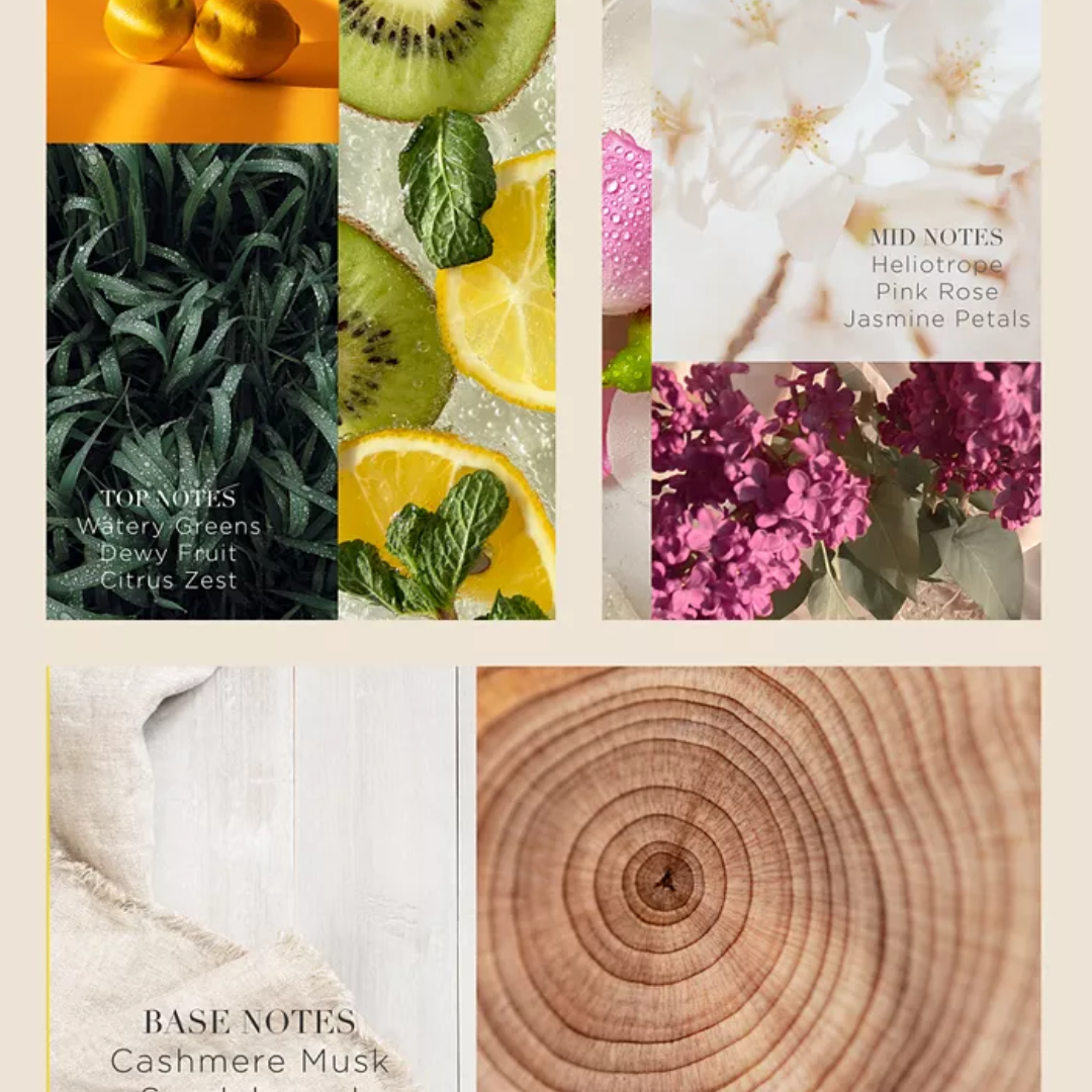 Catherine Malandrino - Transcendent EDP Spray for Women - 3.4 Oz