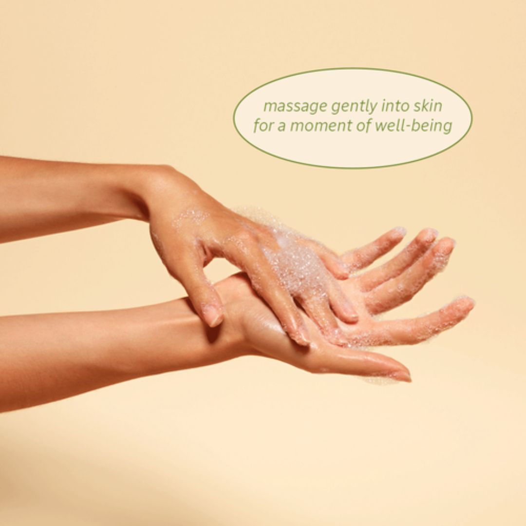 L'Occitane - Verbena Extra Gentle Soap with Shea Butter - 8.8  Oz