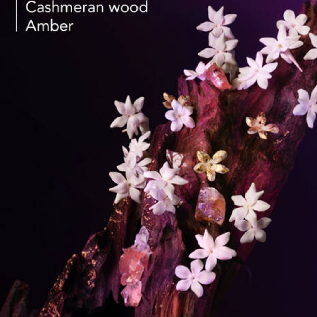 Thierry Mugler - Alien, Beautifying Body Cream - 6.7 Oz