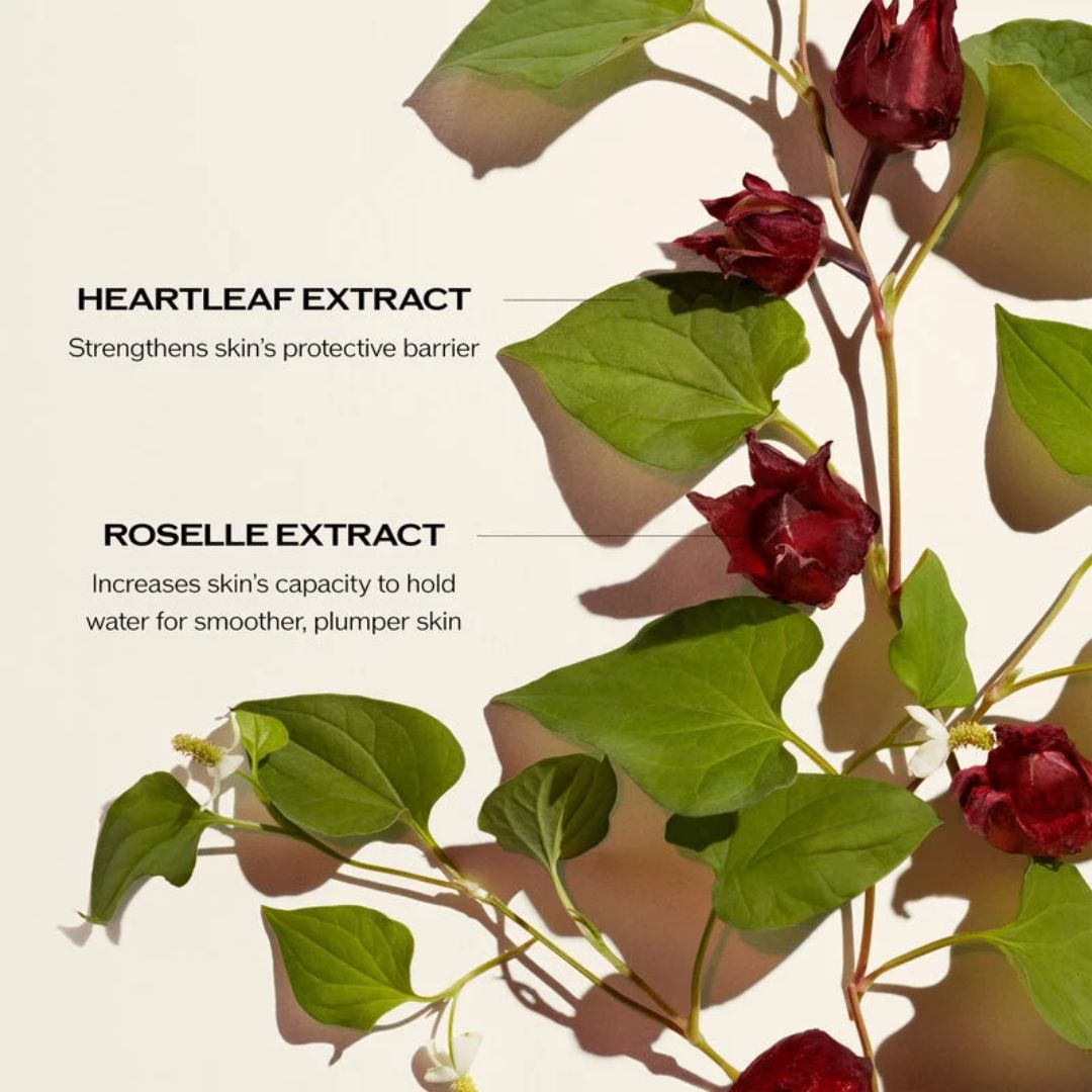 Shiseido - Ultimune Power Infusing Concentrate Serum - 1 Oz